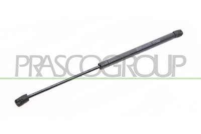 Prasco Gasfeder, Koffer-/Laderaum [Hersteller-Nr. RN3259065] für Renault von PRASCO
