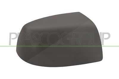 Prasco Abdeckung, Außenspiegel [Hersteller-Nr. FD4247413] für Ford von PRASCO