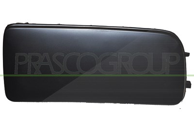 Prasco Abdeckung, Scheinwerfer [Hersteller-Nr. BM0141247] für BMW von PRASCO