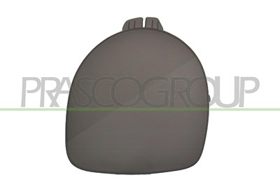 Prasco Abdeckung, Scheinwerfer [Hersteller-Nr. RN3201250] für Renault von PRASCO