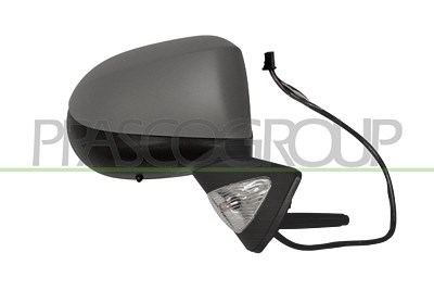 Prasco Außenspiegel [Hersteller-Nr. RN3107353] für Renault von PRASCO