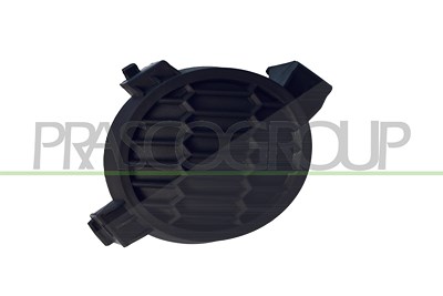 Prasco Blende, Nebelscheinwerfer [Hersteller-Nr. DS0121249] für Nissan von PRASCO