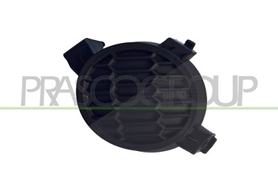Prasco Blende, Nebelscheinwerfer [Hersteller-Nr. DS0121250] für Nissan von PRASCO