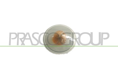 Prasco Blinkleuchte [Hersteller-Nr. FT1334139] für Fiat von PRASCO