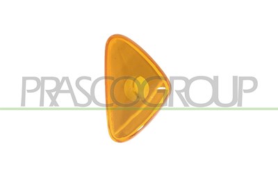 Prasco Blinkleuchte [Hersteller-Nr. FT9194139] für Fiat von PRASCO