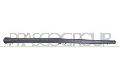Prasco Einstiegleiste [Hersteller-Nr. AD3251413] für Audi von PRASCO