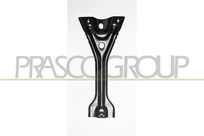Prasco Frontverkleidung [Hersteller-Nr. VG7193202] für VW von PRASCO