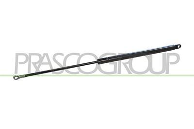 Prasco Gasfeder, Koffer-/Laderaum [Hersteller-Nr. FT1219055] für Fiat von PRASCO