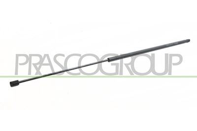 Prasco Gasfeder, Koffer-/Laderaum [Hersteller-Nr. FT9089055] für Fiat von PRASCO