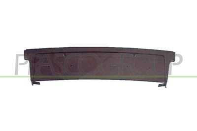 Prasco Kennzeichenhalter [Hersteller-Nr. BM0971539] für BMW von PRASCO