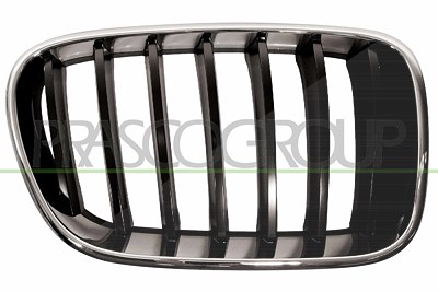 Prasco Kühlergitter [Hersteller-Nr. BM8042003] für BMW von PRASCO