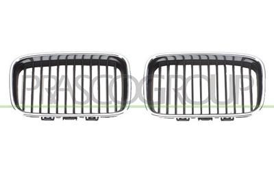 Prasco Kühlergitter [Hersteller-Nr. BM0142113] für BMW von PRASCO