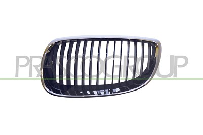 Prasco Kühlergitter [Hersteller-Nr. BM0252004] für BMW von PRASCO