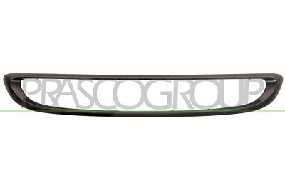 Prasco Rahmen, Kühlergitter [Hersteller-Nr. ME3072305] für Smart von PRASCO