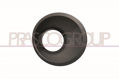 Prasco Rahmen, Nebelscheinwerfer [Hersteller-Nr. FT9071241] für Fiat von PRASCO