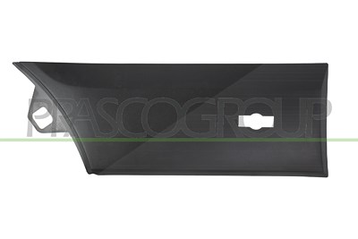 Prasco Zier-/Schutzleiste, Kotflügel [Hersteller-Nr. FD9131455] für Ford von PRASCO