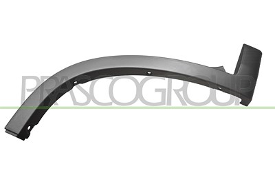 Prasco Zier-/Schutzleiste, Kotflügel [Hersteller-Nr. FT9301582] für Fiat von PRASCO