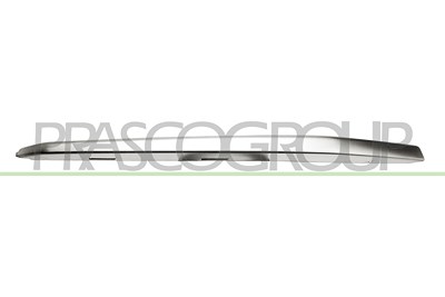 Prasco Zier-/Schutzleiste, Kühlergitter [Hersteller-Nr. BM0311223] für BMW von PRASCO
