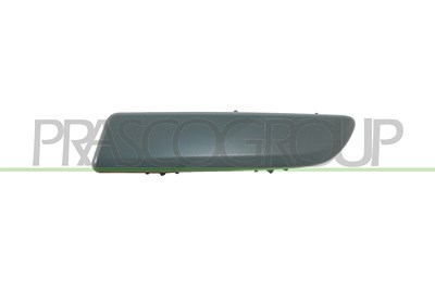 Prasco Zier-/Schutzleiste, Stoßfänger [Hersteller-Nr. RN3081254] für Renault von PRASCO