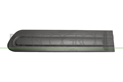 Prasco Zier-/Schutzleiste, Tür [Hersteller-Nr. FT0401454] für Fiat von PRASCO