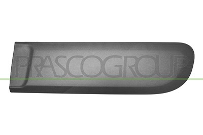 Prasco Zier-/Schutzleiste, Tür [Hersteller-Nr. FT1241464] für Fiat von PRASCO