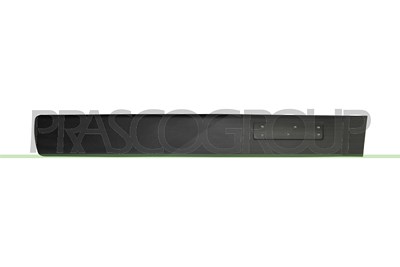 Prasco Zier-/Schutzleiste, Tür [Hersteller-Nr. CI9151403] für Citroën von PRASCO