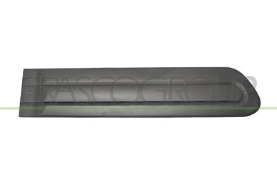 Prasco Zier-/Schutzleiste, Tür [Hersteller-Nr. FT0401453] für Fiat von PRASCO