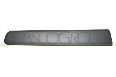 Prasco Zier-/Schutzleiste, Tür [Hersteller-Nr. FT1241413] für Fiat von PRASCO