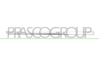 Prasco Zier-/Schutzleiste, Tür [Hersteller-Nr. FT4401453] für Fiat von PRASCO