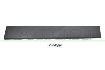 Prasco Zier-/Schutzleiste, Tür [Hersteller-Nr. FT9001454] für Fiat, Nissan, Opel, Vauxhall von PRASCO