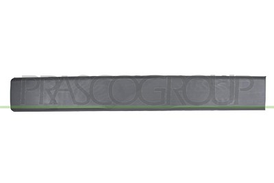 Prasco Zier-/Schutzleiste, Tür [Hersteller-Nr. FT9301454] für Fiat von PRASCO