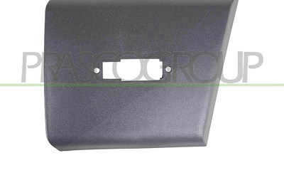 Prasco Zier-/Schutzleiste, Tür [Hersteller-Nr. FT9321416] für Fiat von PRASCO
