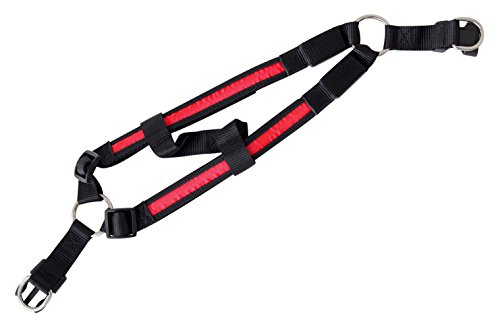 Geschirr LED Hundegeschirr Leuchthalsband Leuchtgeschirr Brustgeschirr in der Farbe rot S Sicherheitsgeschirr inkl. Batterie Hund Katze Haustier von der Marke PRECORN Geschirr LED Hundegeschirr Leuchthalsband Leuchtgeschirr Brustgeschirr in der Farbe rot S Sicherheitsgeschirr inkl. Batterie Hund Katze Haustier von der Marke PRECORN von PRECORN