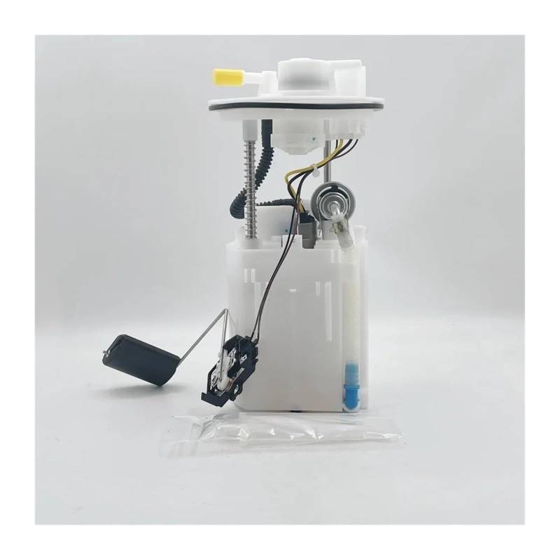 Hochdruck-Kraftstoffpump Für Hyundai Für Celesta Für KIA Für Forte Für Soul Für Cerato Für Shuma 311101M200 311101J000 Kraftstoffversorgungspumpen von PRGPMSUNAD