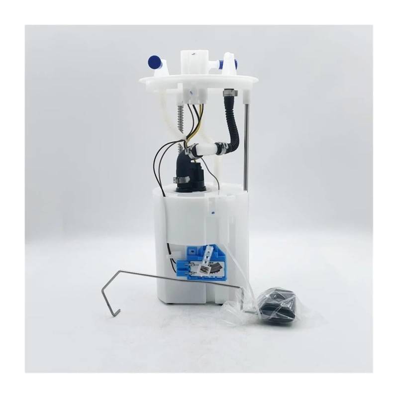 Hochdruck-Kraftstoffpump Für Hyundai Für Santa Fe Für Kia Für Sorento 2009-2012 Diesel 311102P900 Kraftstoffversorgungspumpen Kraftstoffpumpenbaugruppe von PRGPMSUNAD