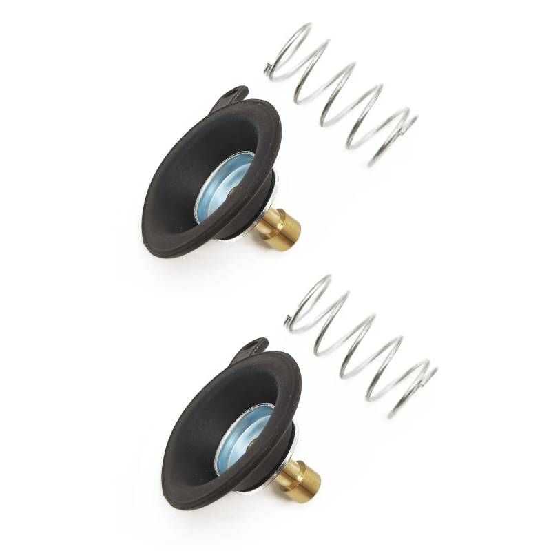 2 Sets Motorrad-Vergaser-Reparatursatz, Luftabsperrventil, kompatibel mit XVS650 V-STAR 1998–2015 XVS 650 (2 Stück-01) von PTKPLGMFVF