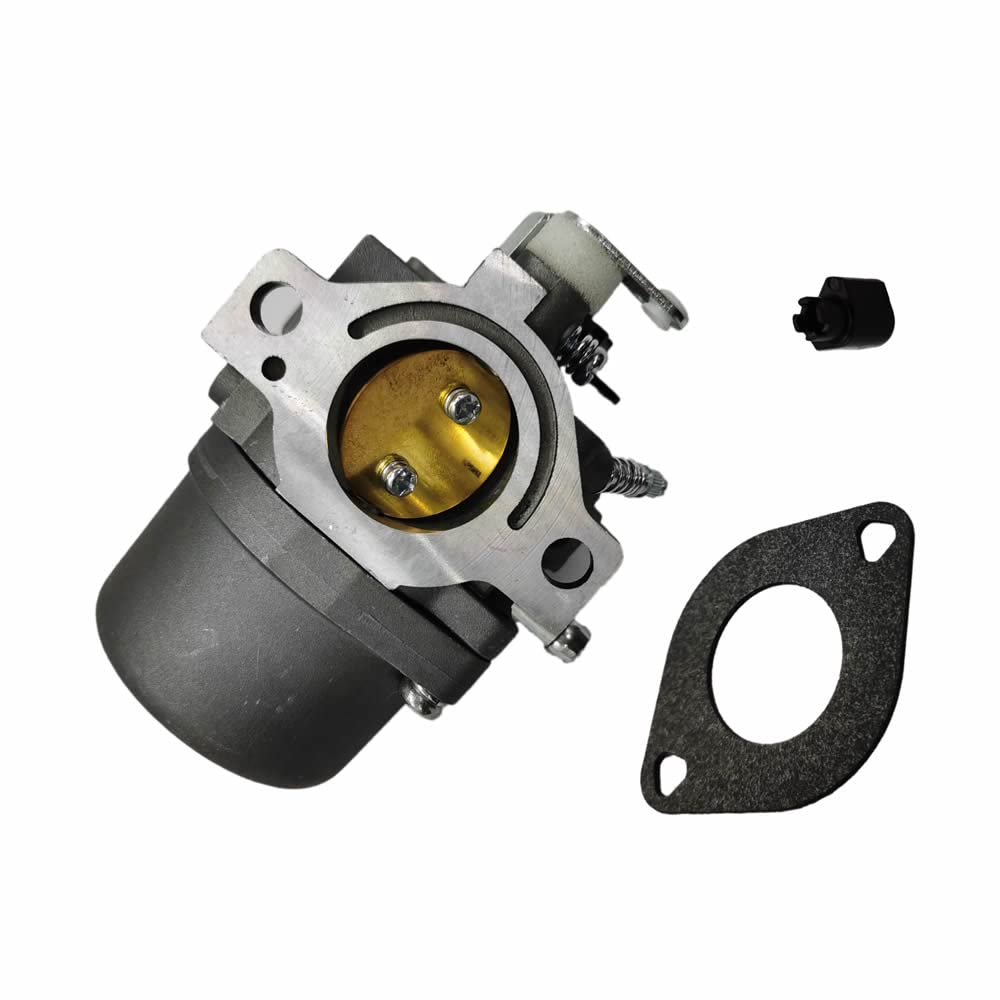 Für Rasenmäher Vergaser für B&S 285707 289707 28B705 28M707 Motoren ersetzt 494392 494502 495706 799728 Für Rasenmäher Vergaser für B&S 285707 289707 28B705 28M707 Motoren ersetzt 494392 494502 495706 799728 von PTKPLGMFVF