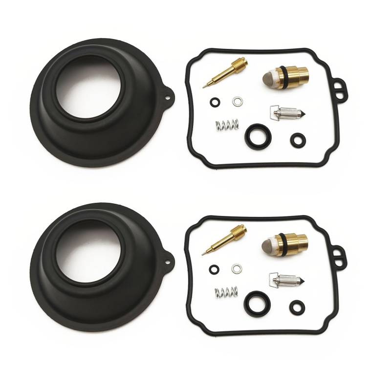 Kompatibles Vergaser-Reparaturset, Konfigurieren Sie Vakuummembran und Schwimmer für XV250 XV250S XV 250 Route 66 Virago V-STAR (2 Sets) von PTKPLGMFVF