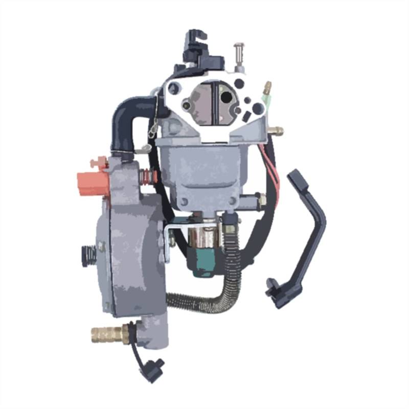 LPG Typ Dual Fuel GX390 Vergaser für LPG Umbausatz, kompatibel mit Honda GX390 188F 4,5–5,5 kW von PTKPLGMFVF