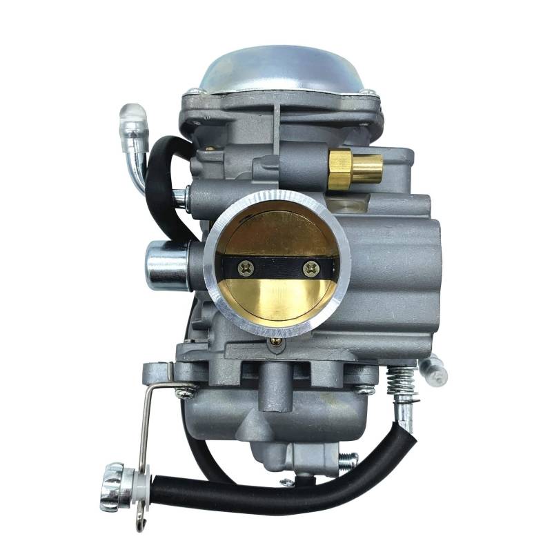 LTF250 Vergaser für Suzuki Quadrunner 250 LTF 300F LT-F250F LT-F4WD 1990-1999 von PTKPLGMFVF