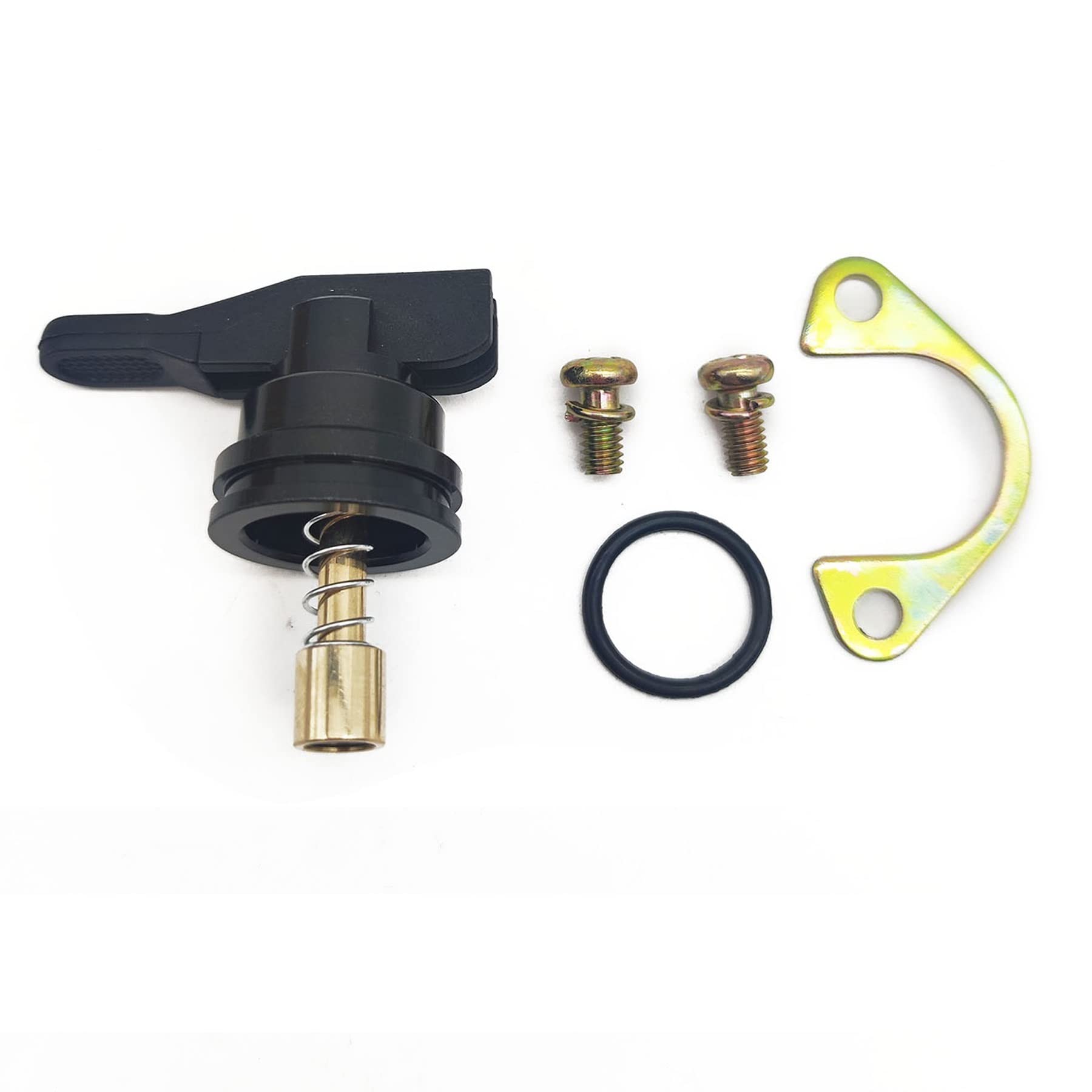 Manueller Vergaser für Delorto PHVA PHVB PHBN 53015 für Aprilia SR50R SRMT Vibe Vespa Zip 50 Tasten Starter Ventil Kolben (1 Stück) von PTKPLGMFVF