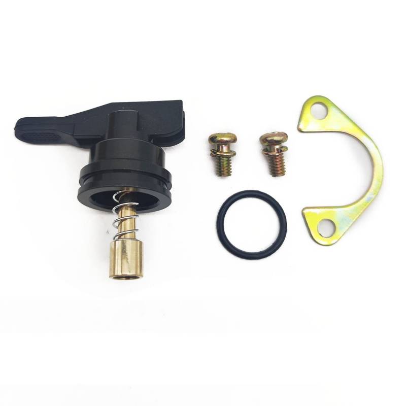 Manueller Vergaser für Delorto PHVA PHVB PHBN 53015 für Aprilia SR50R SRMT Vibe Vespa Zip 50 Tasten Starter Ventil Kolben (1 Stück) von PTKPLGMFVF