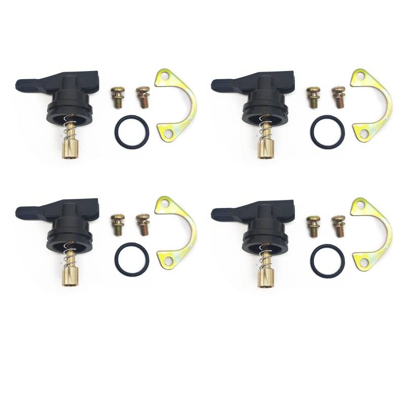 Manueller Vergaser für Delorto PHVA PHVB PHBN 53015 für Aprilia SR50R SRMT Vibe Vespa Zip 50 Tasten Starter Ventil Kolben (4 Stück) von PTKPLGMFVF