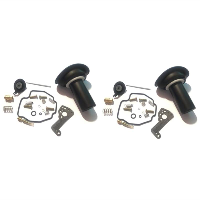 Motorrad-Reparatursatz für Vergaser, Kolben Membrandichtung, kompatibel mit Virago XV535 1990–2001 XV 535, 2 Stück von PTKPLGMFVF