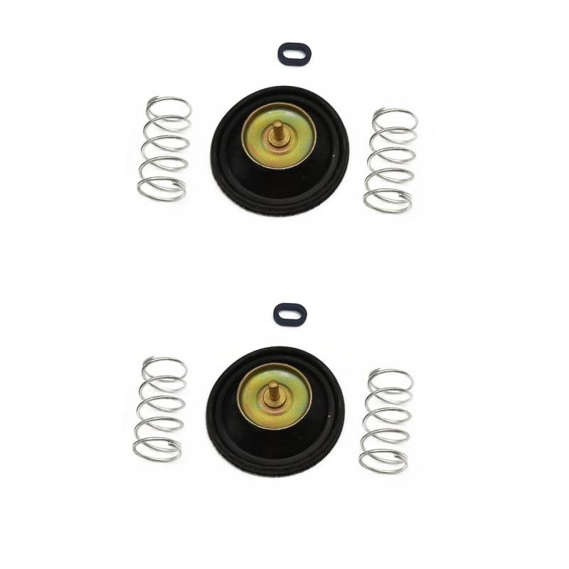 Vergaser-Reparatursatz, Luftabsperrventil, kompatibel mit VT600 VTR250 VT100 VT1100 NT650 PC800 VT VTR NT PC 600 250 100 1100 650 800 (2 Sets) von PTKPLGMFVF