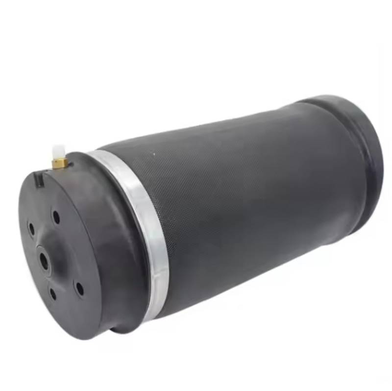 PUNICS Kompatibel Mit Benz Für W251 R-Klasse Luftfederung Federtasche Hinten Luftfederung Stoßdämpfer Reparatursatz 2513200325 251320002 2513200425 hintere Luftfedertaschen von PUNICS