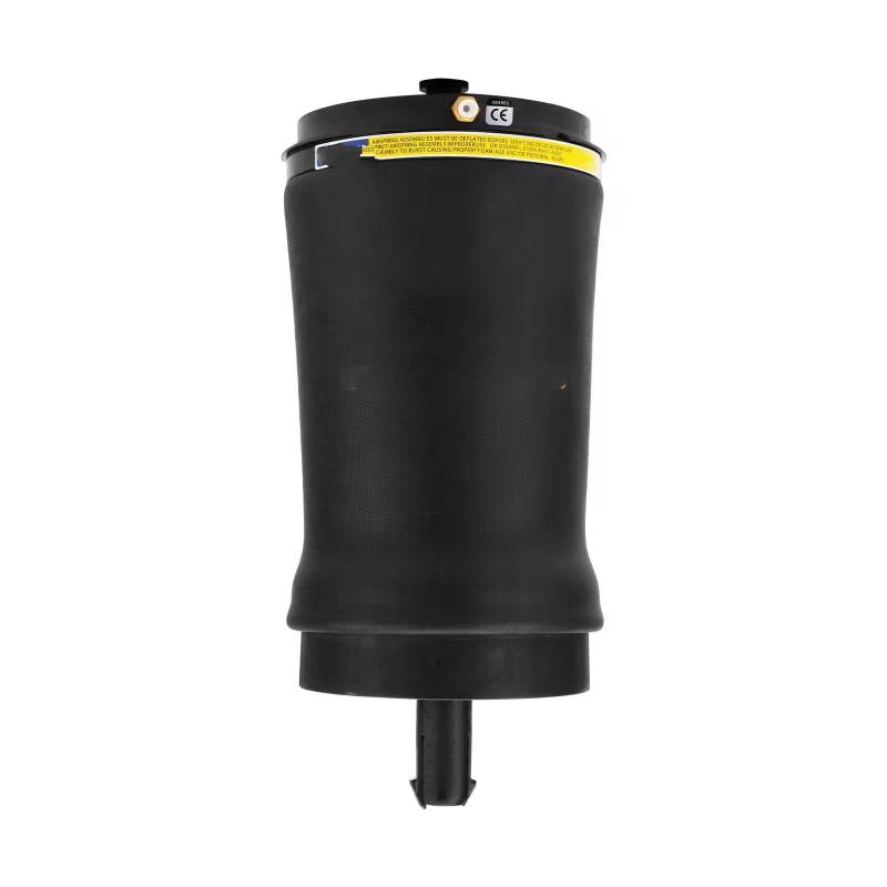 PUNICS Kompatibel Mit Land Für Rover Für Discovery L462 2016–2024, Luftfederung Hinten, Federbalg, Luftfederung, Federtasche LR044853 hintere Luftfedertaschen von PUNICS