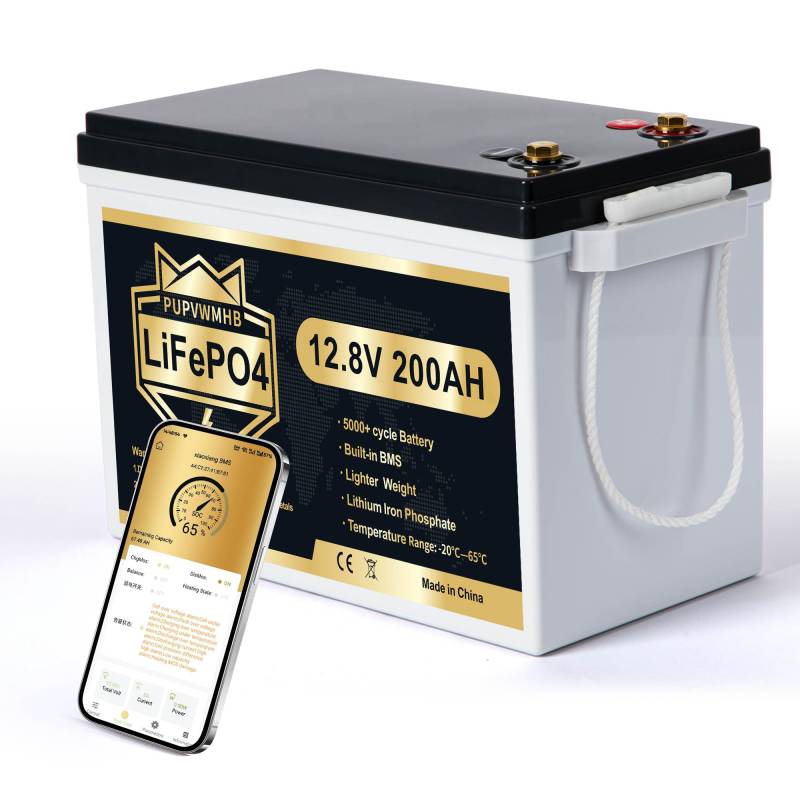 PUPVWMHB 12V 200Ah MINI LiFePO4 Lithiumbatterie, Bluetooth-Lithiumbatterie,200A BMS, bis zu 15000Zyklen, max.2560 Wh Energie mit Untertemperaturabschaltung, perfekt für Wohnmobil, Solar,Trolling-Motor von PUPVWMHB
