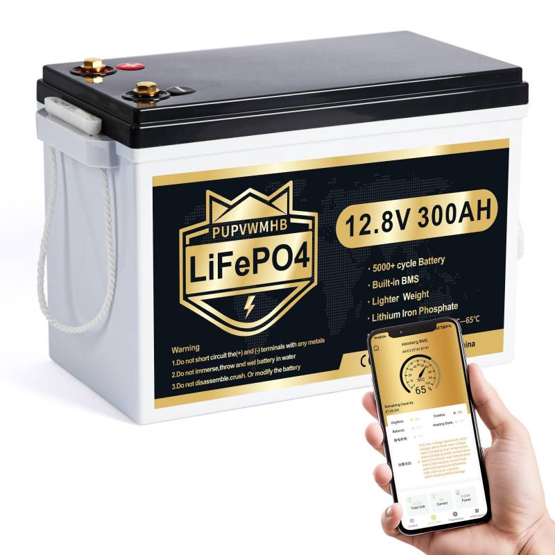 PUPVWMHB 12V 300Ah MINI LiFePO4 Lithium Batterie, Bluetooth Lithium Batterie, 200A BMS, bis zu 15000 Zyklen, Max.3840Wh Energie mit Low Temp Cut off, perfekt für RV, Solar, Trolling Motor von PUPVWMHB