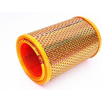 Luftfilter PURFLUX A1033 Luftfilter PURFLUX A1033 von Purflux